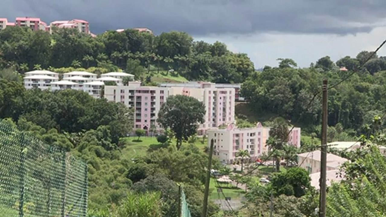 Mutiservices Caraibes