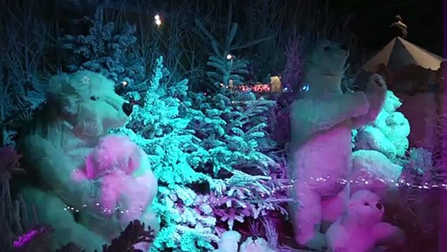 Le Barcarès s'illumine d'un coup de baguette magique