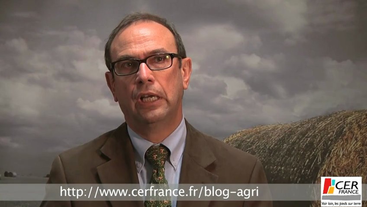Le maïs au centre de l'évolution du marché par Thierry Lemaître
