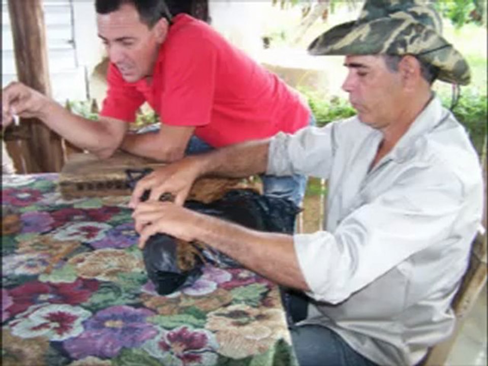 CUBA 2012