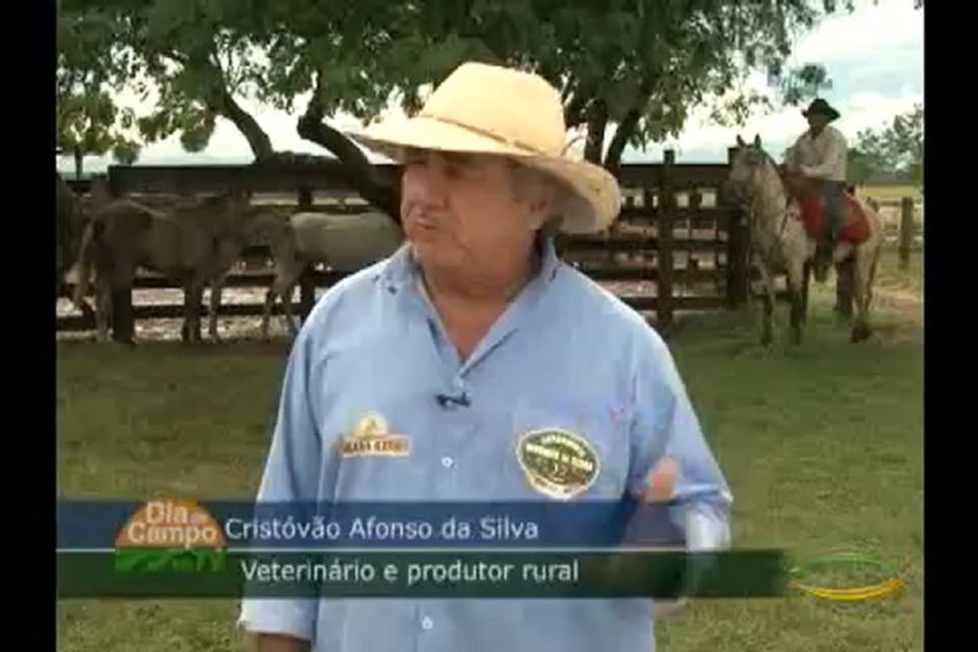 Dia de Campo na TV do dia 22-12-2012