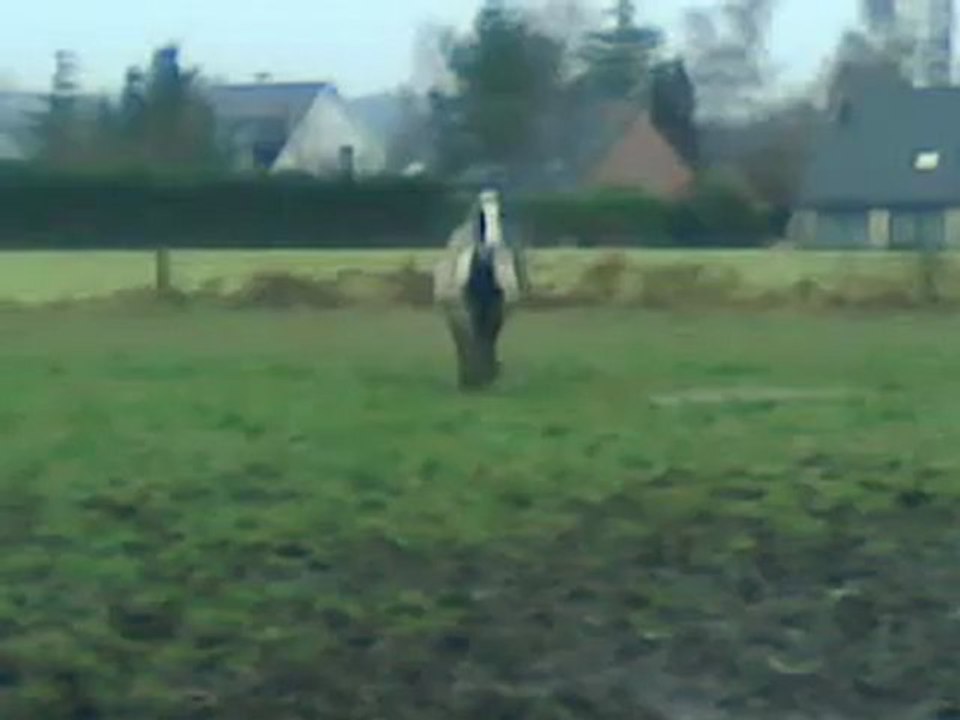 Luna a faim on dirait