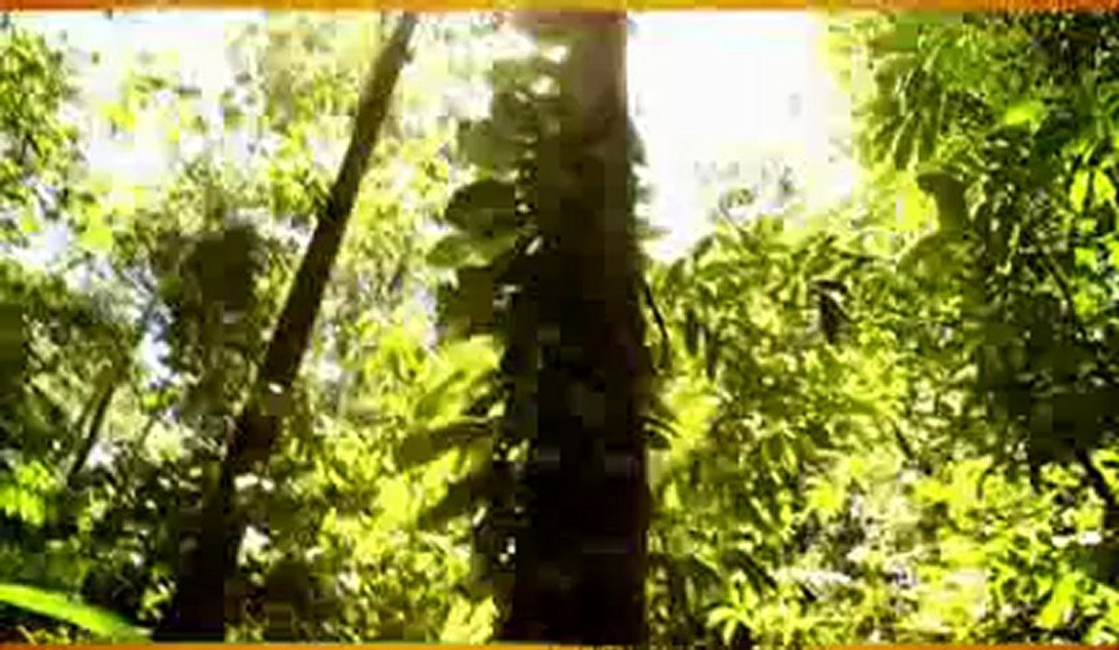 Tina Feat Ali angel et Nickenson Prud'homme - ONLINE