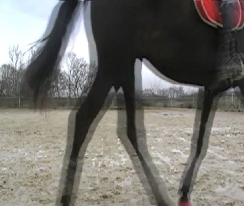 SansTitre