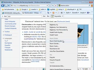 maerbir87 how to compose a web page