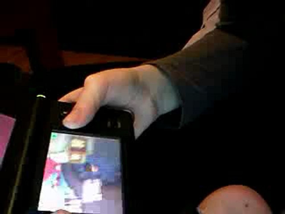 Animal Crossing DS.