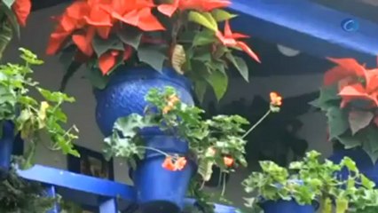 Navidad en los patios de Córdoba, recientemente reconocidos como Patrimonio de la Humanidad