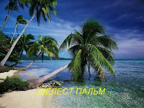 Мой идеальный день