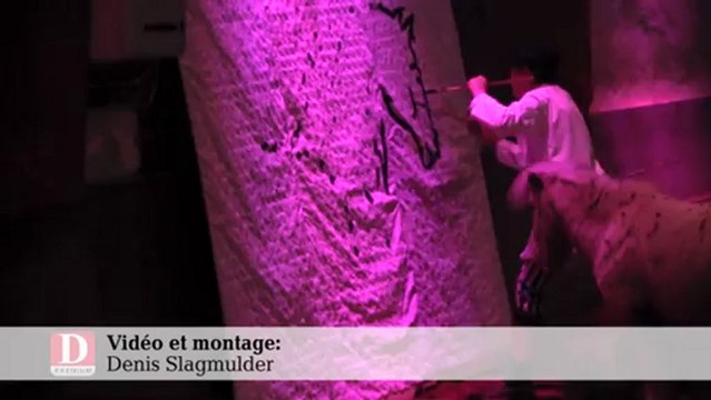 Noel spectacle haras rodez