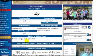 Discover the Power of Herbs: Why We Use Them 🌿