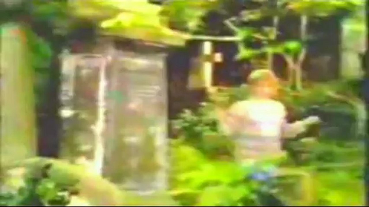 LYNSEY DE PAUL  _   OOH I DO VIDEO CLIP RARO