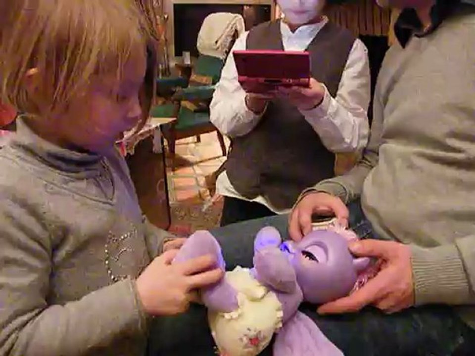 Réveillon le 24 décembre 2010, à Riotord