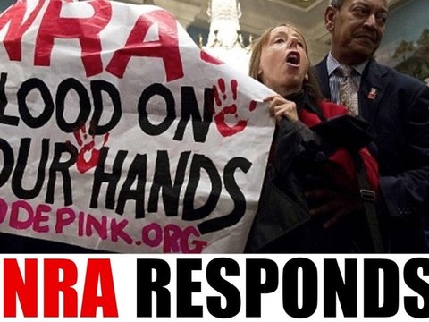 NRA Blames Everything But Guns for Sandy Hook Massacre