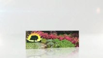 Sunrise Landscape Professional (503) 658-1828