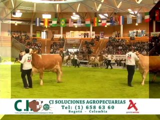 francia 1 sabado 22 dic 2012