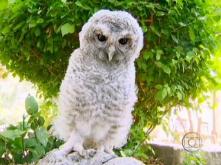 G8&R321-12-2012 P-5 [FINAL] Terra Santa