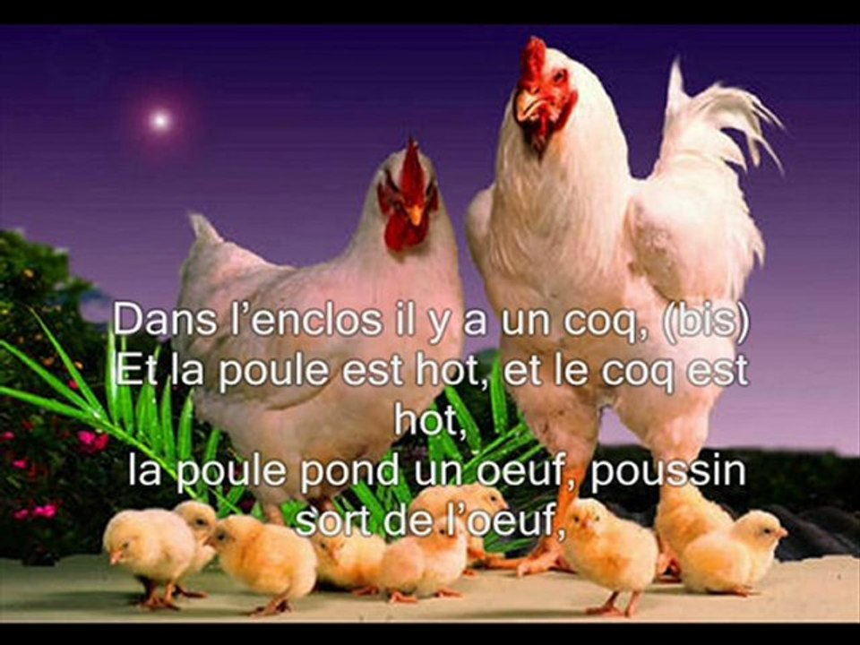 Parodie de "Poussin Piou" - Bambins, pfiou !