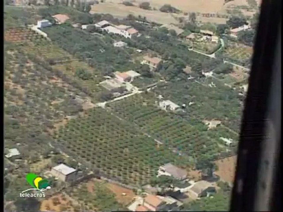 Ruoppolo Teleacras - "Orso bruno", assolti