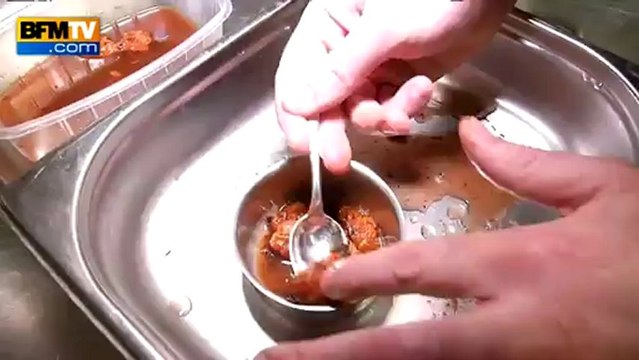 Recette de chef pour Noël : Royal aux langues d’Oursin