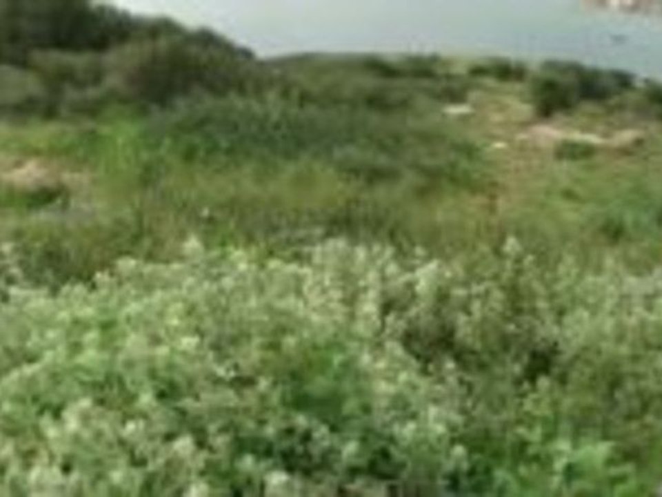 Athen, der Poseidon Tempel