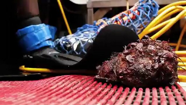 AUSTRALIAN JUNIOR SURFING TITLES - DAY 4 Highlights