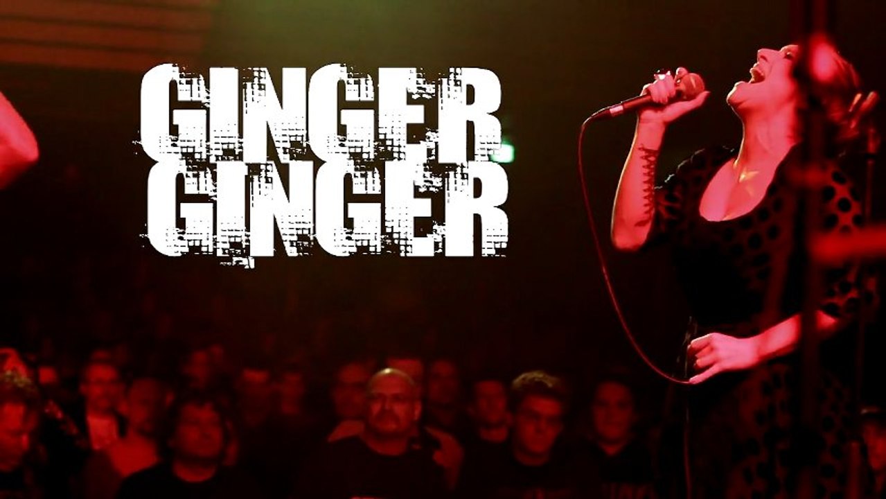 Ginger Ginger concert au festival big noise BriseGlace Annecy