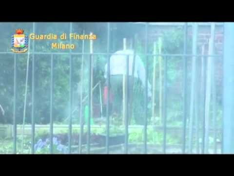 Milano - Scoperto falso cieco (20.12.12)