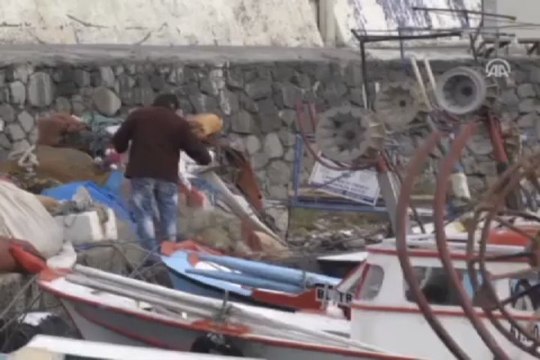 Karadeniz'de birçok tür yok oldu