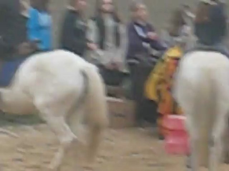 Concours à mon club avec ma ponette