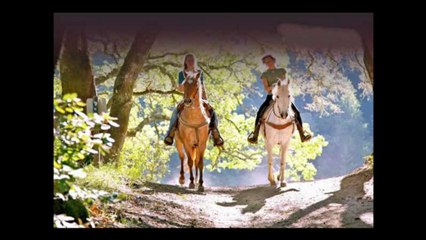 Мой идеальный день!