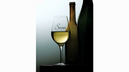 Sancerre, terre et vins d'enchantement / Land & Wines of enchantement