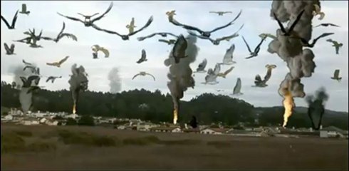 Watch Birdemic Shock and Terror Online