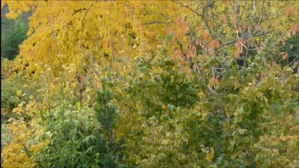 Vendredi 16 Novembre 2012 à 14h34 Bassin Parisien