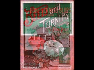 Ben Selvin's Dance Orchestra - Turn On Your Radio