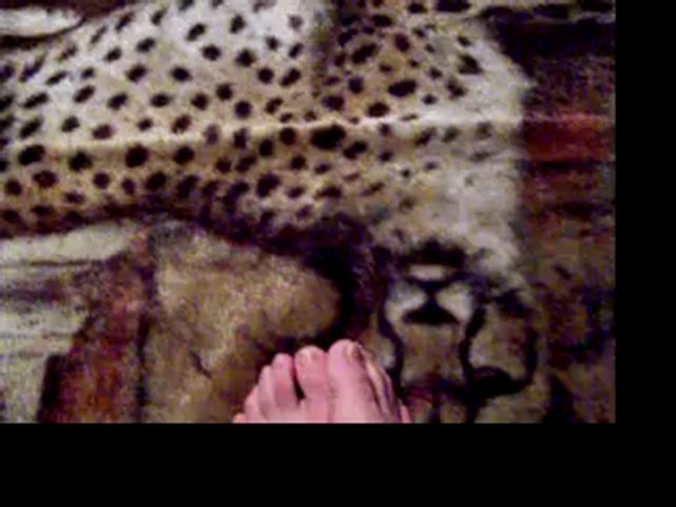 Sydni & Levi Walters Goofing Around