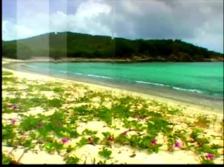 profesyonel , ercan arkat, hüseyin güner