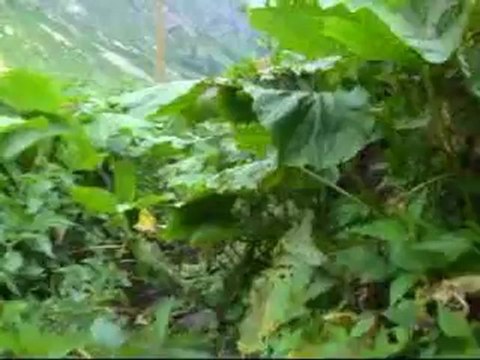 TDF ileri kar buz egitimi kavrun yaylası şahin cafe pansiyon