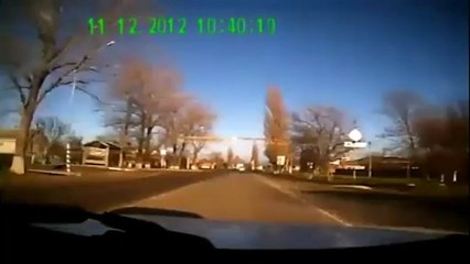 Truck full of cows crashed - MUST SEE