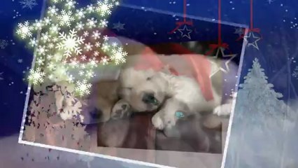 переход снежинка