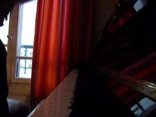 rom la chute,par vladimir mitz