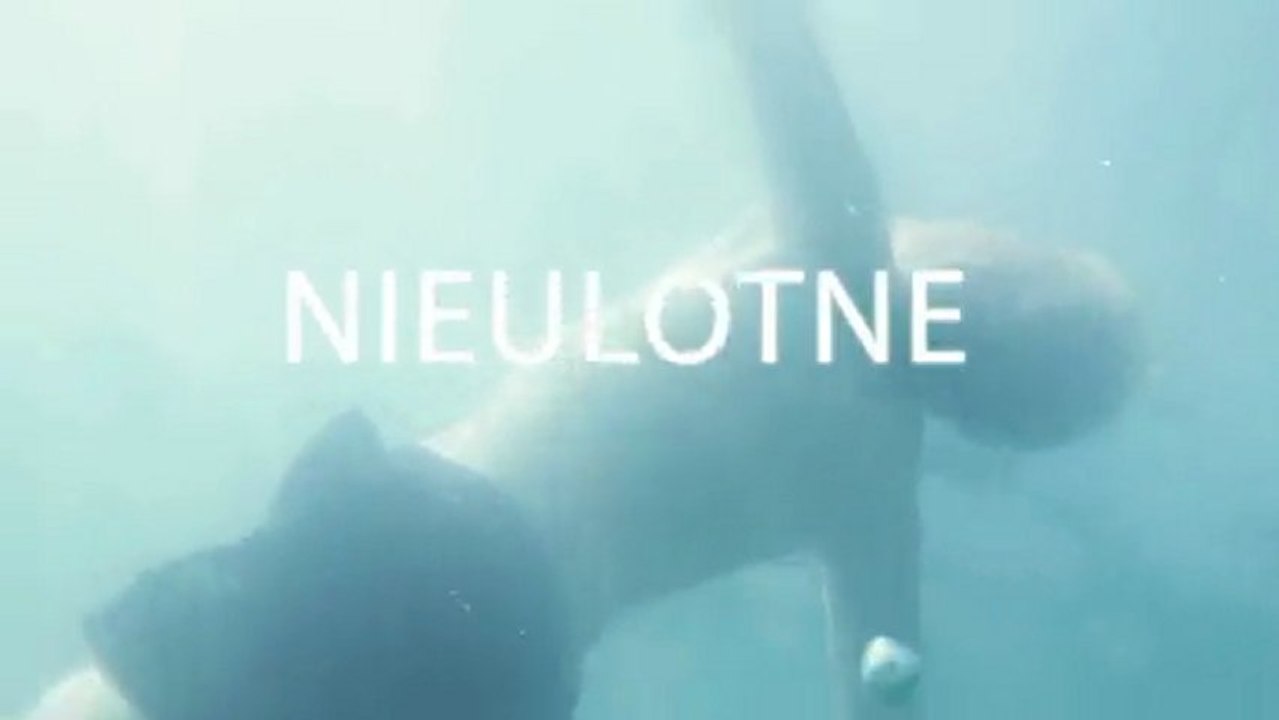 Nieulotne