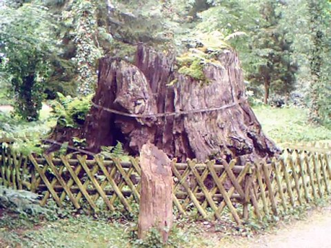 Auf großer Tour durch den VRS 2012-8