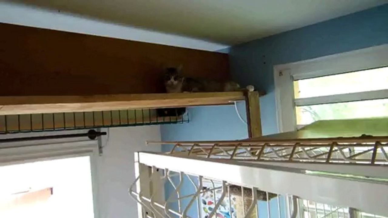 C'est l'heure de la sieste