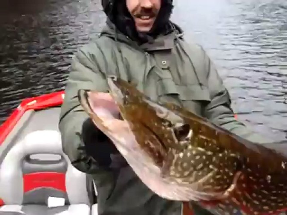 Broc 1 m, Bort le 15 dec 2012