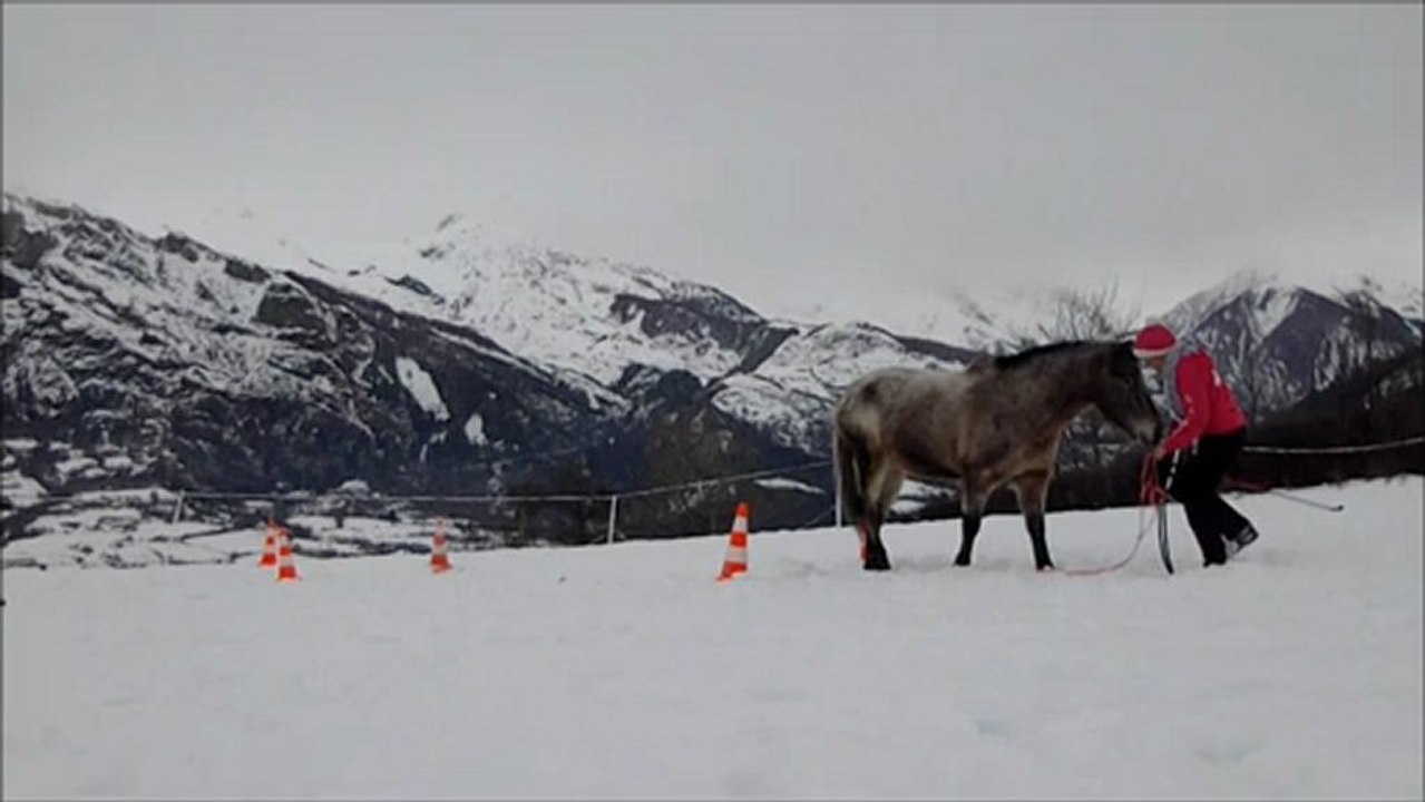 exercices d'equifeel