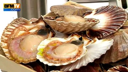 Plat de fête : Saint-Jacques au pata negra