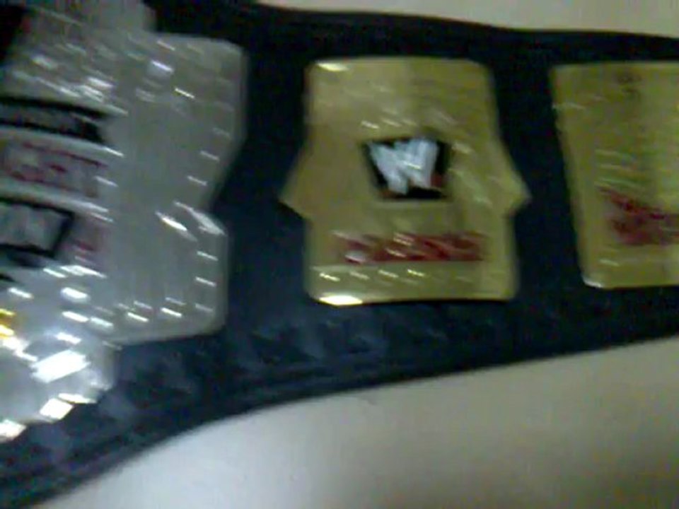 WWE Cruiserweight adult replica