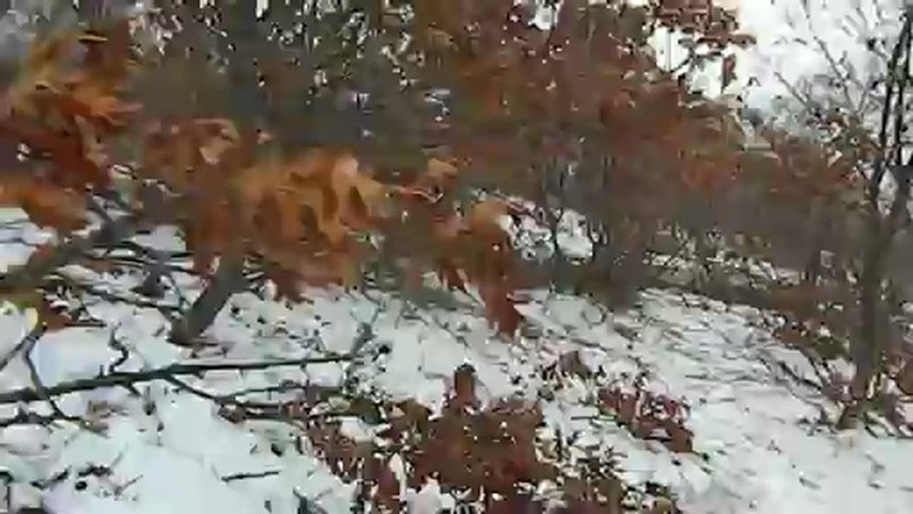 Hera çulluk avı -4