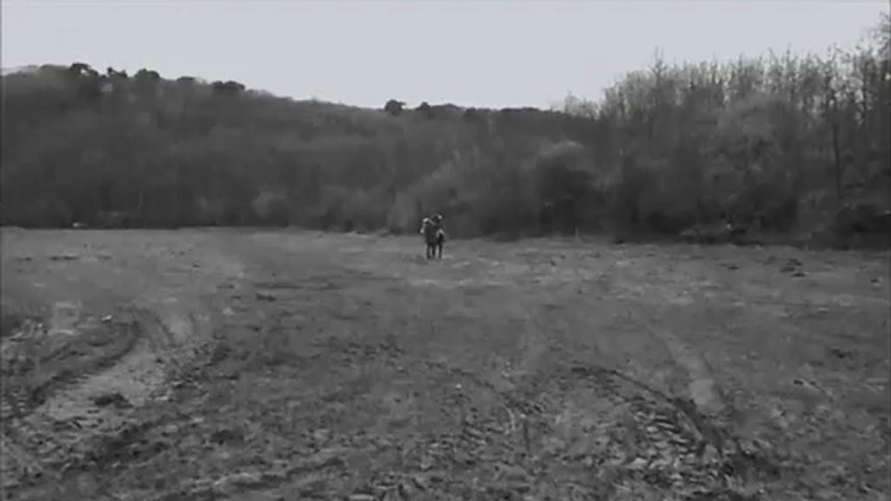 Maya la ponette monté sur ressorts !