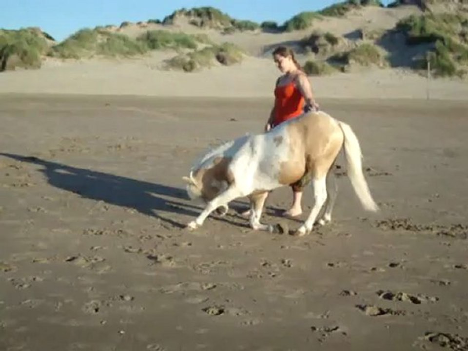 plage version courte